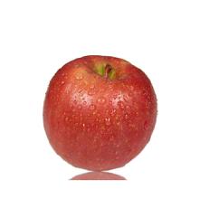 食用農(nóng)產(chǎn)品市場(chǎng)全景 從蘋果種植到批發(fā)終端的產(chǎn)業(yè)鏈剖析