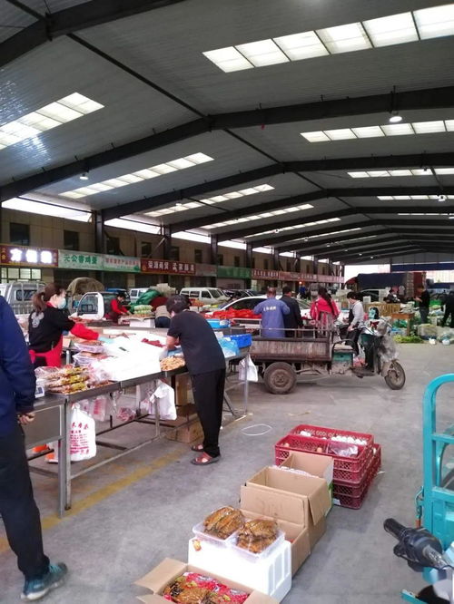 中貿(mào)農(nóng)產(chǎn)品綜合批發(fā)市場 從基地到市場，蔬菜區(qū)一站式采購與每日參考價解析