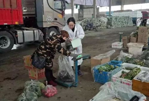 州農(nóng)產(chǎn)品檢驗(yàn)檢測中心加大檢測力度 確保春節(jié)期間食用農(nóng)產(chǎn)品質(zhì)量安全